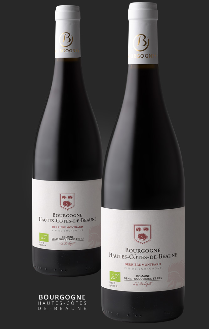 Vin rouge bio Bourgogne Hautes-côtes de Beaune Derriere Montbard